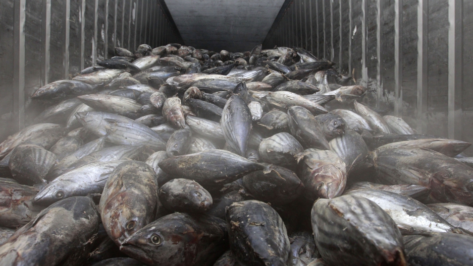 Why the West should care about Thailand’s new fight against fishing slavery